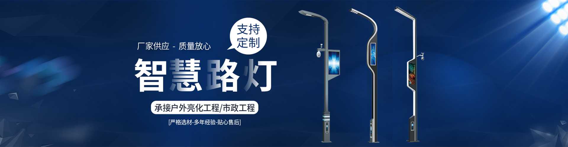 渝水区太阳能路灯定制厂家