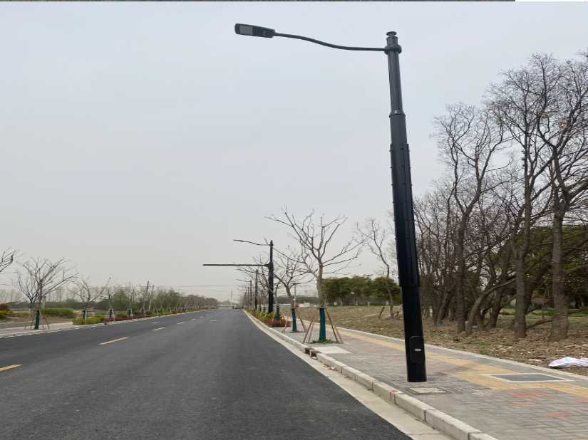渝水区上海综合杆 太阳能路灯工程